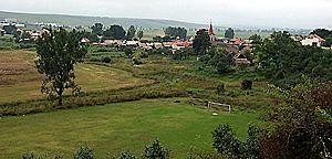 GORTVA- .jpg