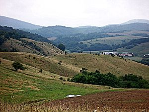 cerova-vrchovina-img288-on.jpg
